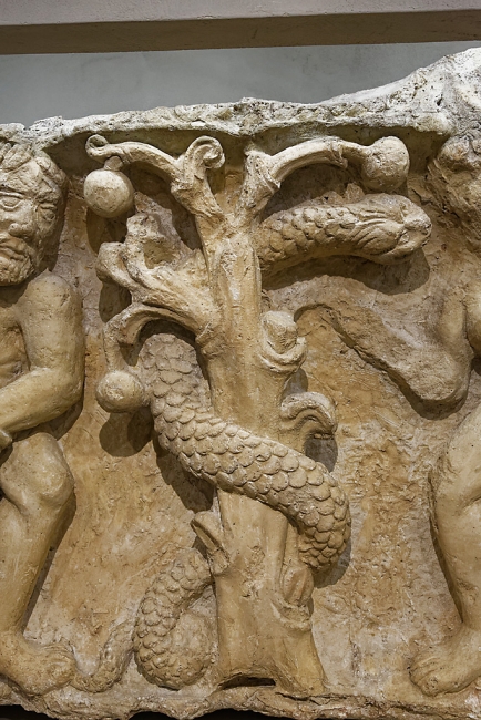 Musée de la Romanité-110